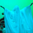 O Senhor dos Papéis